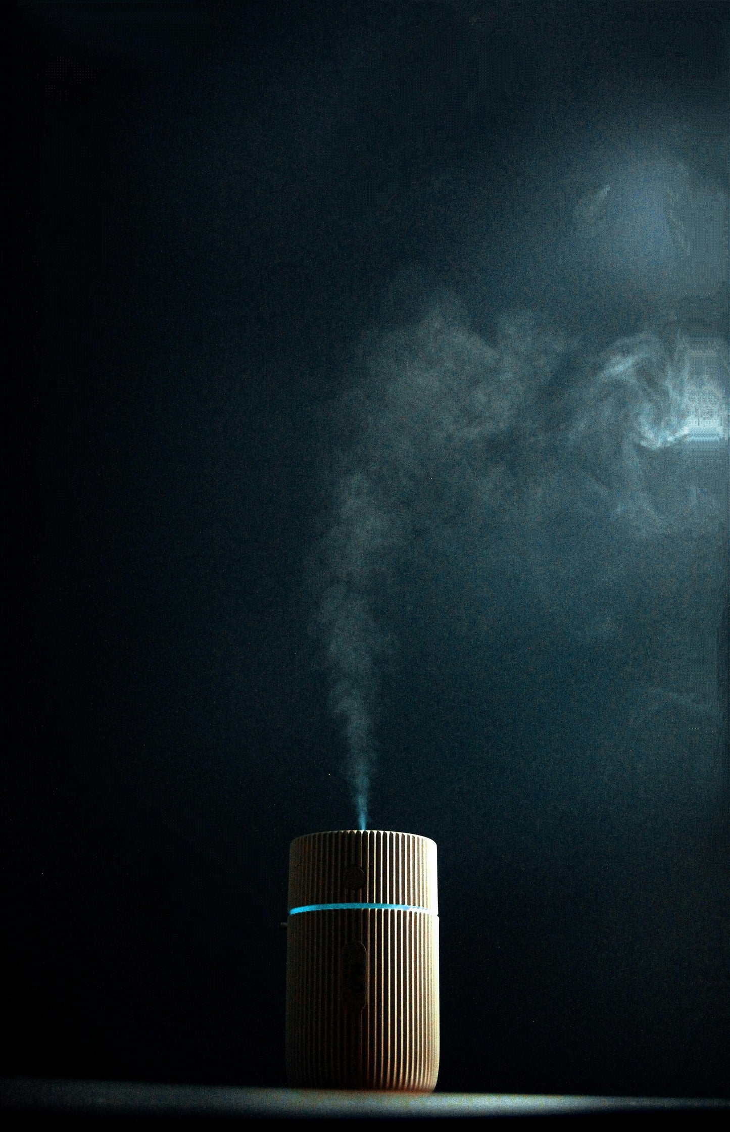 EverMist Dual-Mode Humidifier