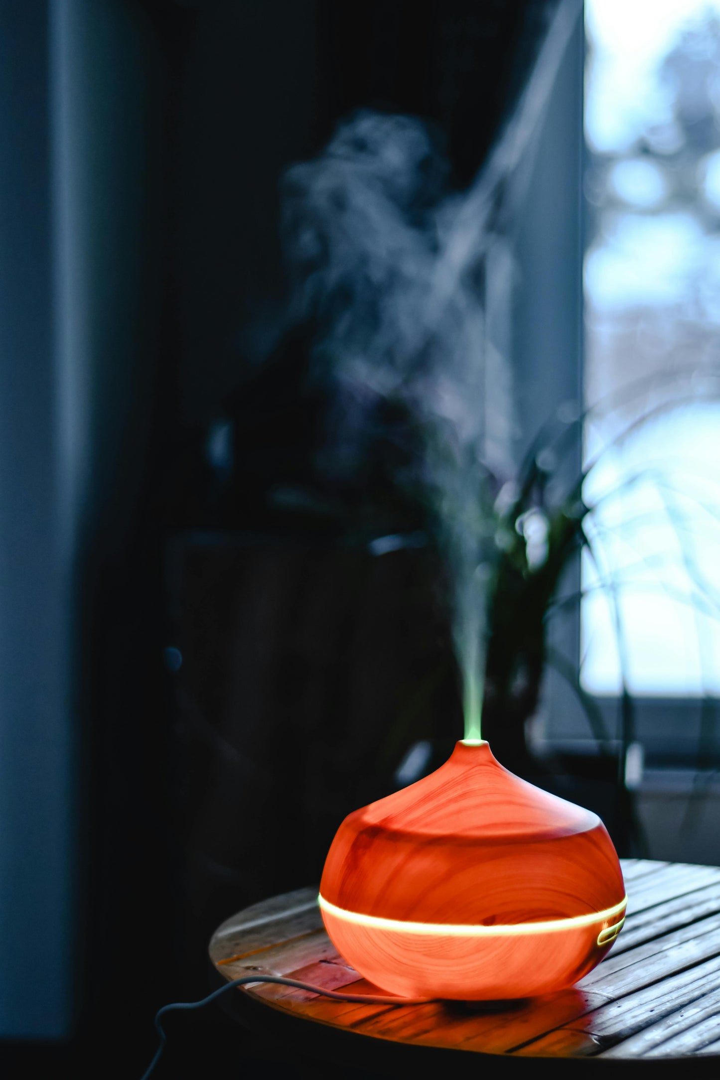CloudNine Whole Home Humidifier